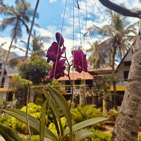 Pv Cottages - Serenity Beach Pondicherry Bagian luar foto