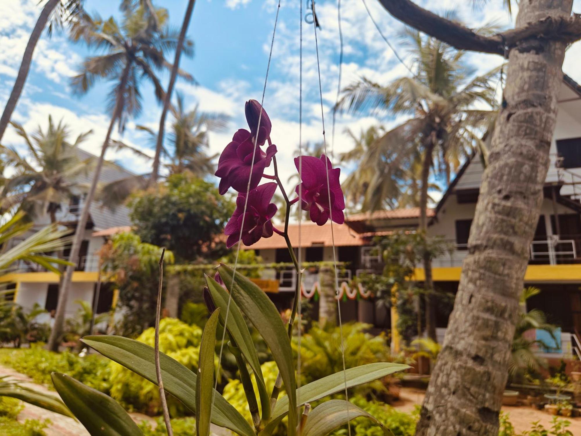 Pv Cottages - Serenity Beach Pondicherry Bagian luar foto